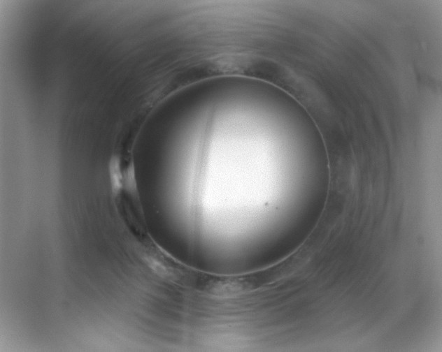 X0000069840075200605191216