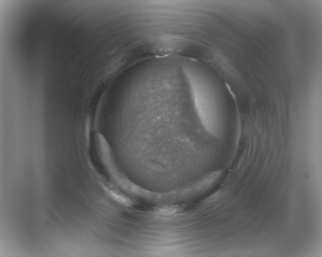 X0000069840076200605191216