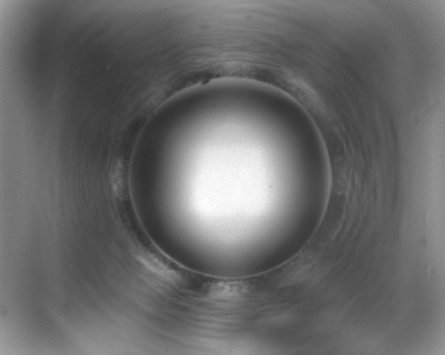 X0000069840077200605191216