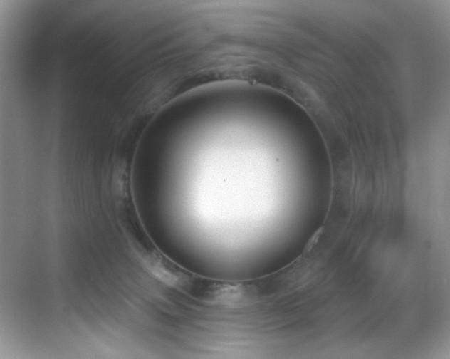 X0000069840083200605191217