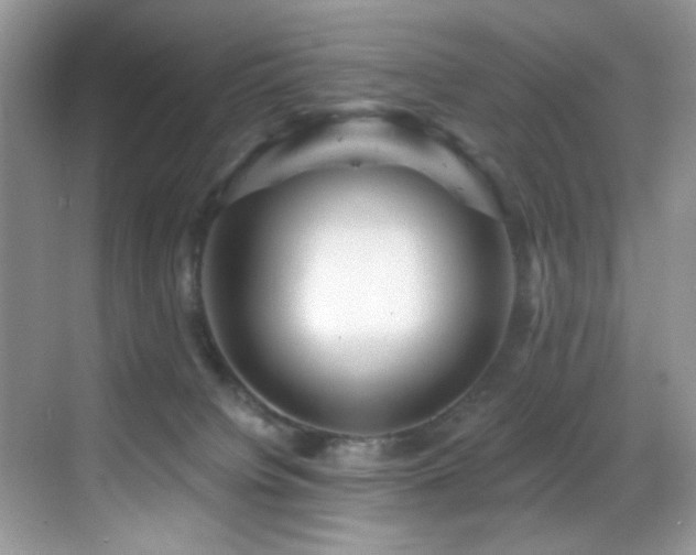 X0000069840084200605191217