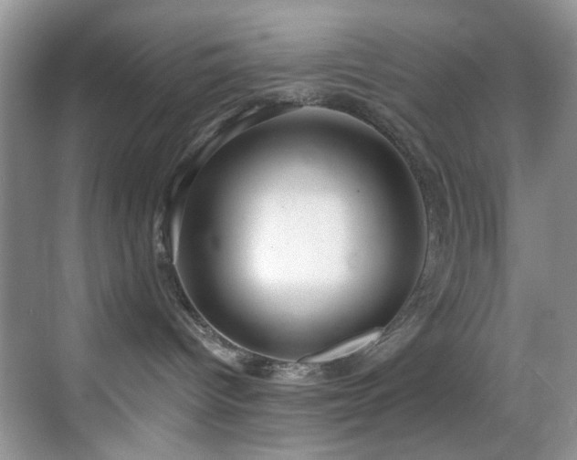 X0000069840096200605191217