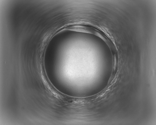 X0000069840097200605191216