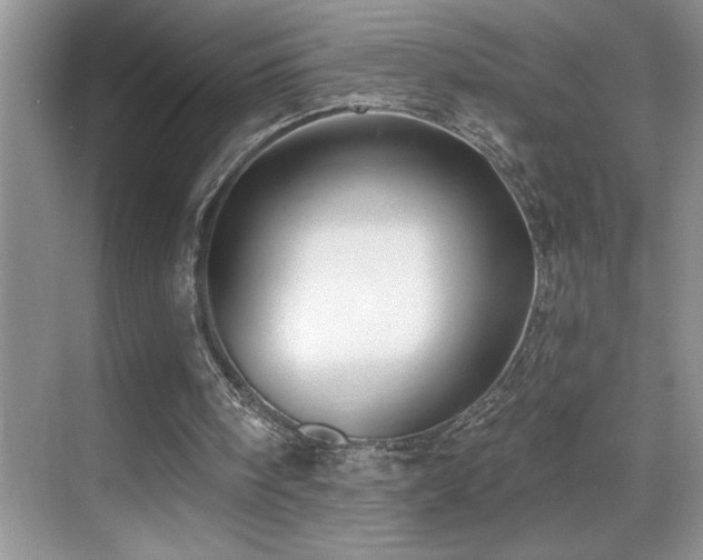 X0000069840098200605191216