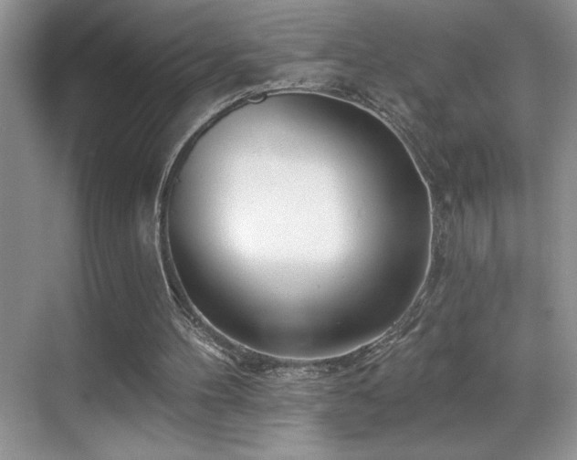 X0000069840100200605191216