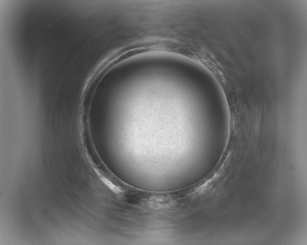 X0000069840101200605191216