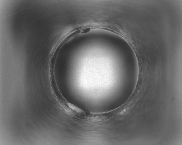 X0000069840103200605191216