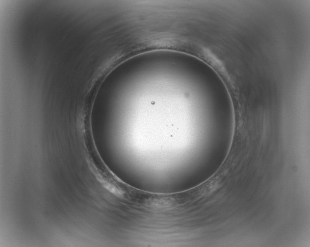 X0000069840106200605191216