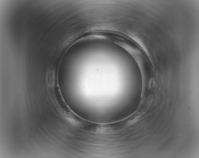 X0000069840109200605191216