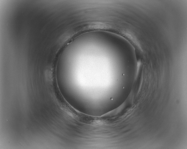 X0000069840111200605191216