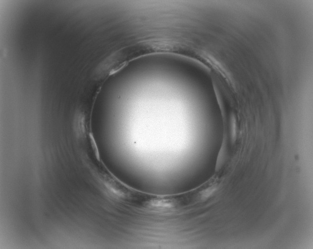 X0000069840117200605191216