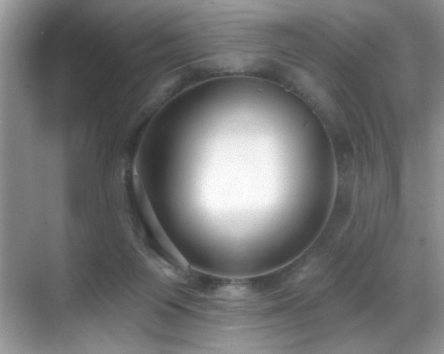 X0000069840119200605191216