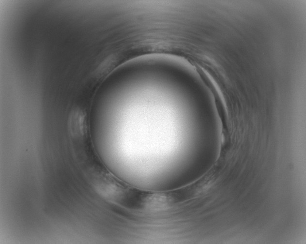 X0000069840123200605191216