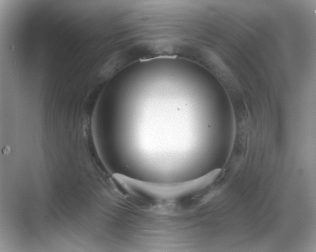 X0000069840125200605191215