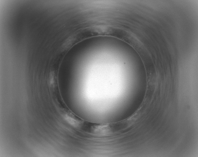 X0000069840132200605191215
