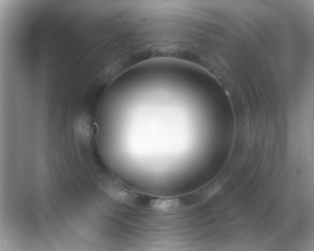 X0000069840135200605191215