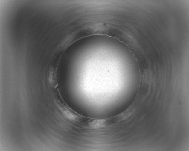 X0000069840138200605191215
