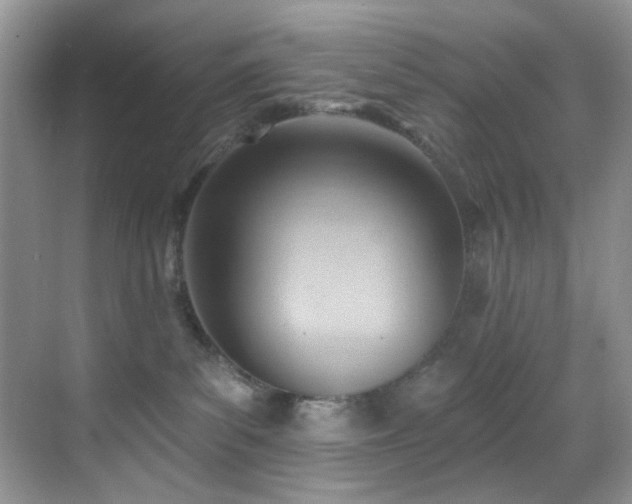 X0000069840139200605191215
