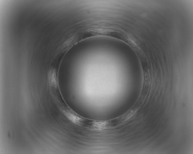 X0000069840143200605191215