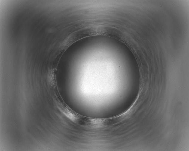 X0000069840144200605191215
