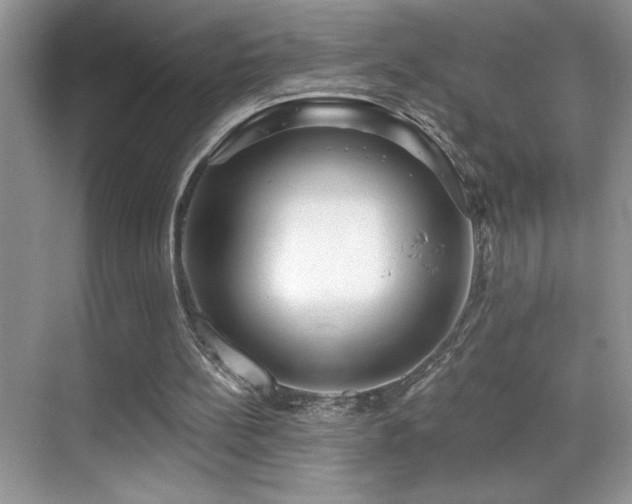 X0000069840148200605191214