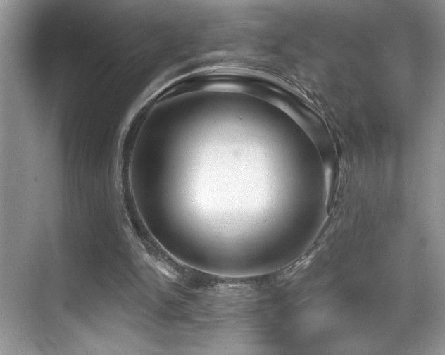 X0000069840150200605191214