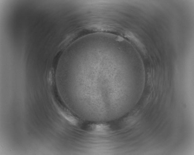 X0000069840165200605191215