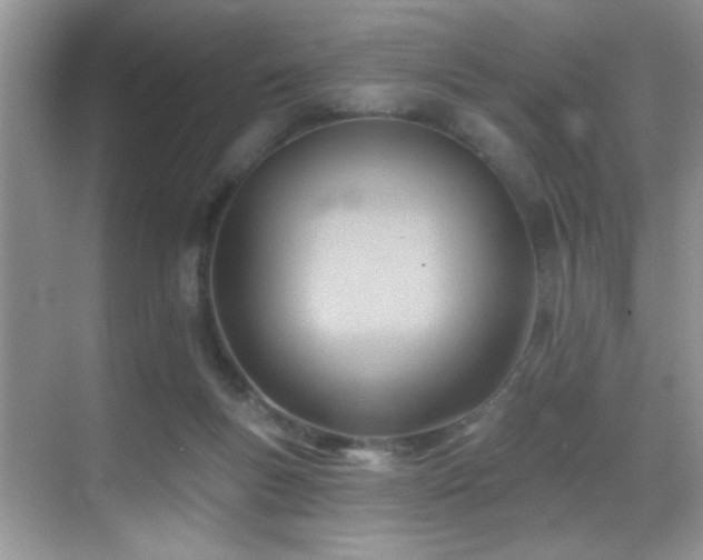 X0000069840167200605191215