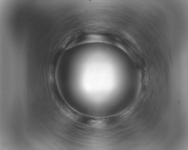 X0000069840170200605191215