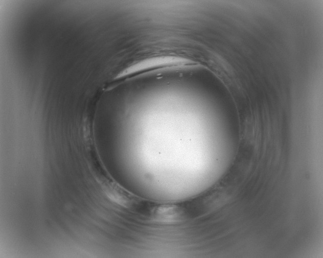 X0000069840173200605191215