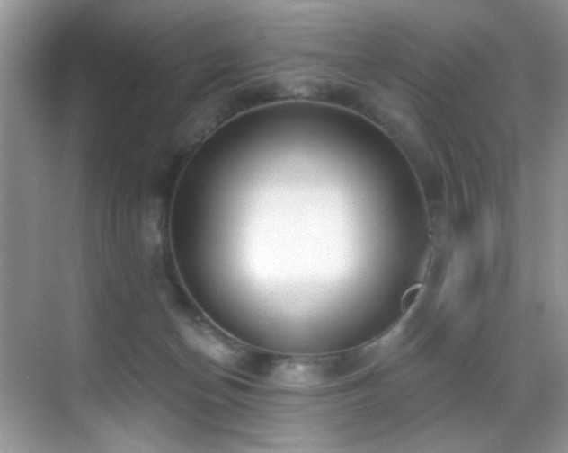 X0000069840174200605191215