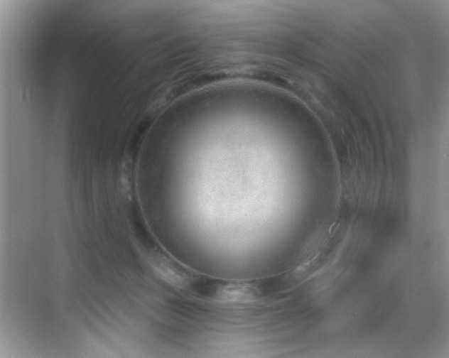 X0000069840175200605191215
