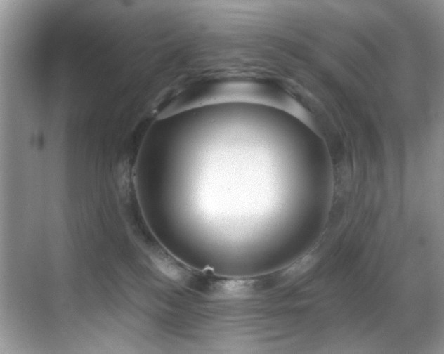 X0000069840184200605191215