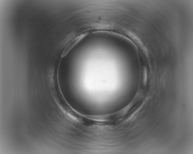 X0000069840201200605191214