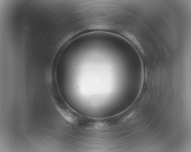 X0000069840204200605191214