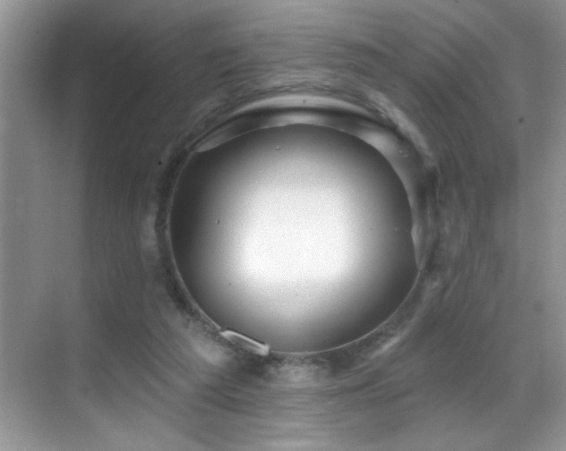 X0000069840209200605191214