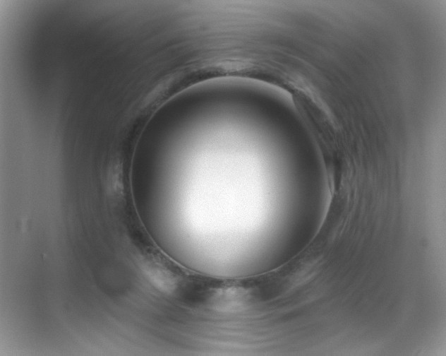 X0000069840212200605191214