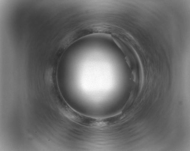 X0000069840217200605191214
