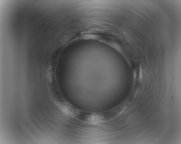 X0000069840223200605191214