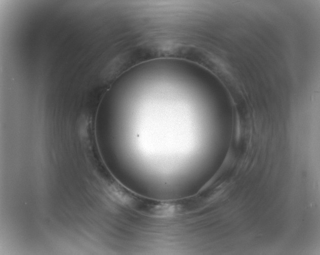 X0000069840225200605191214