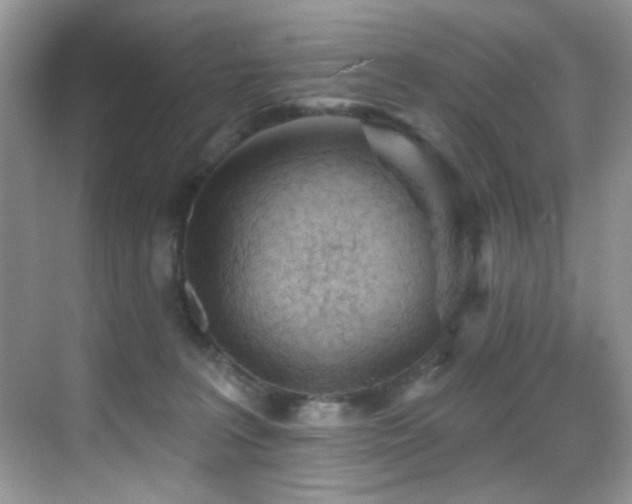 X0000069840227200605191214
