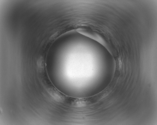 X0000069840228200605191214