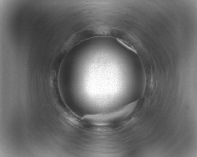 X0000069840229200605191214