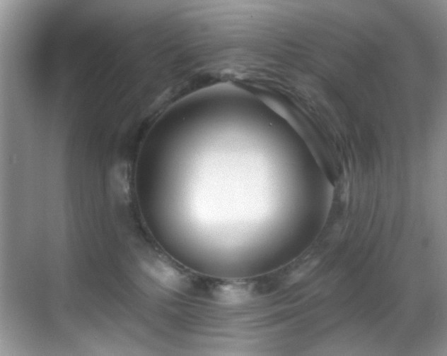 X0000069840232200605191214