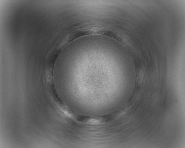 X0000069840236200605191214