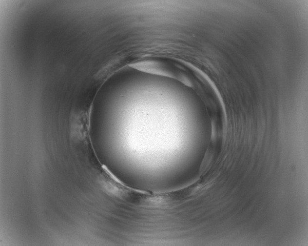 X0000069840237200605191214