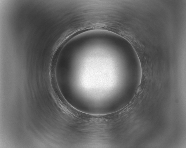 X0000069840242200605191213