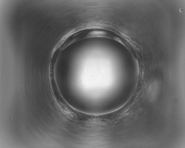 X0000069840244200605191213