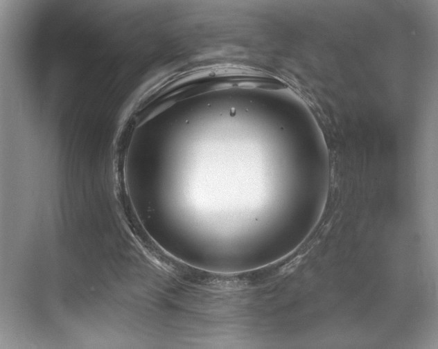 X0000069840245200605191213