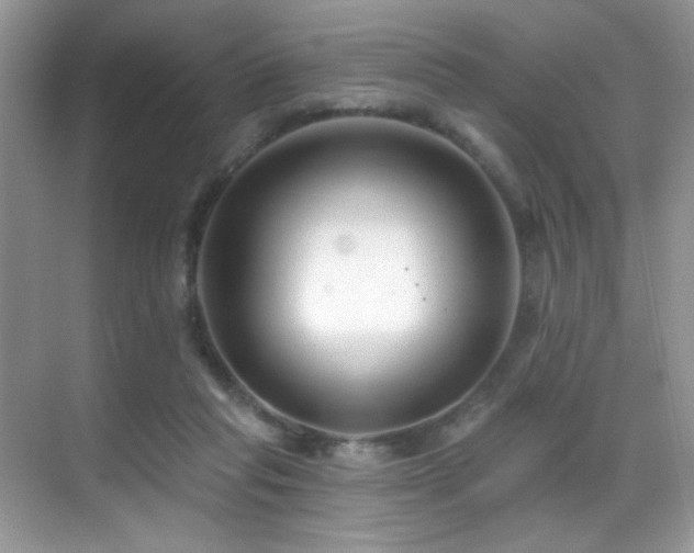 X0000069840261200605191213